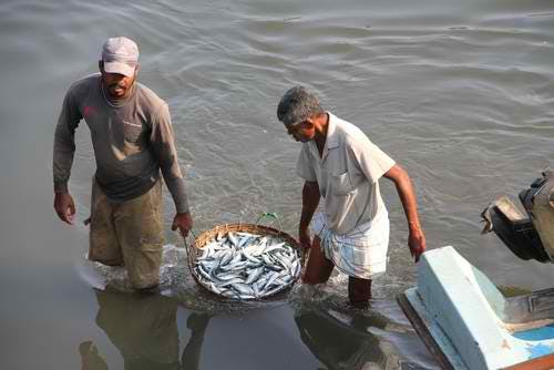 fishing sri lanka