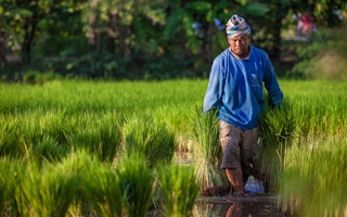 farmer in myanmar