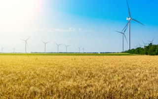 Wind turbines generate clean energy in a wheat field.