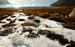 permafrost arctic greenland