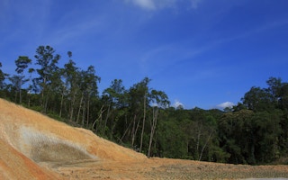 deforestation malaysia