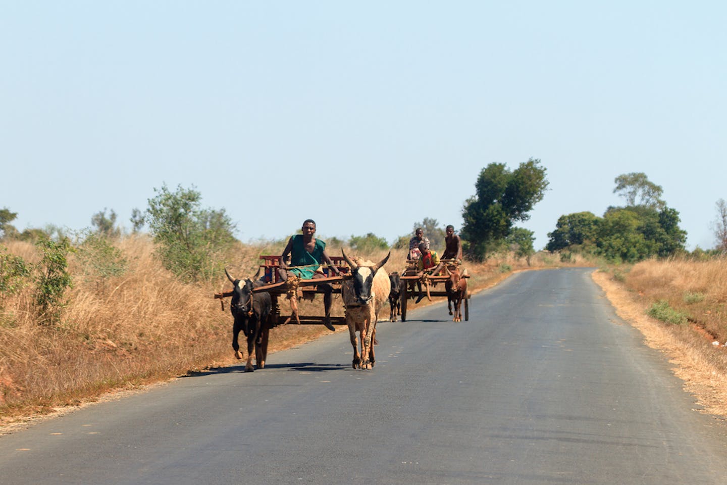 madagascar farmer