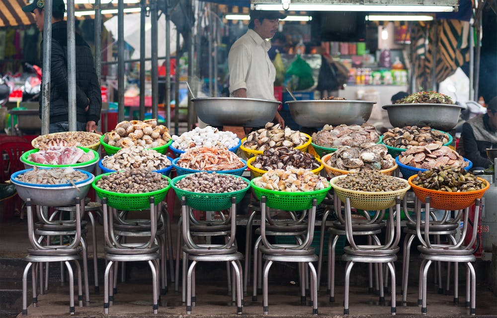 shellfish food chain