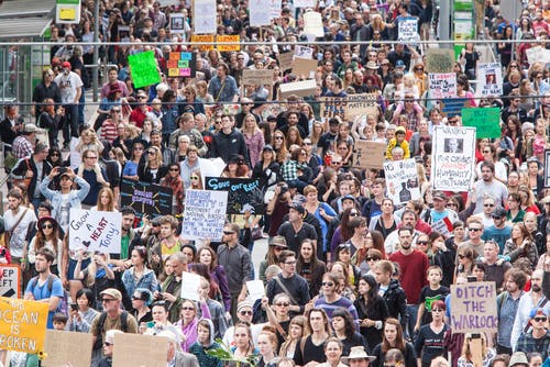 australia protests abbott 