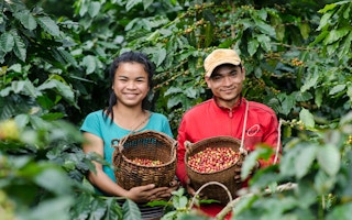 coffee smallholders laos
