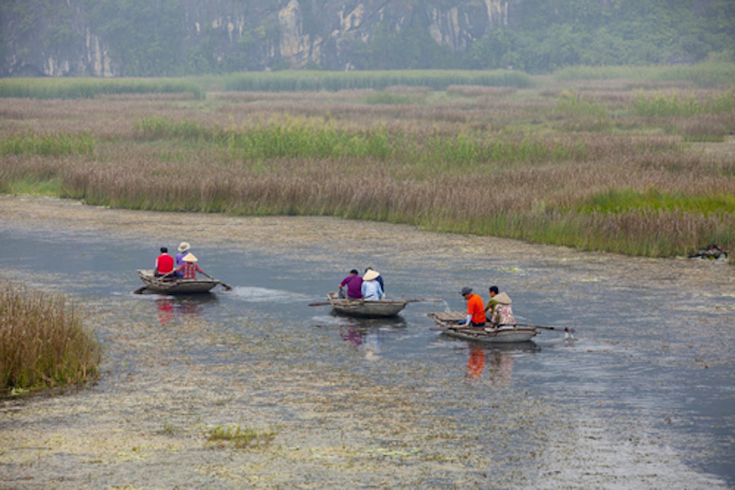 wetlands asia