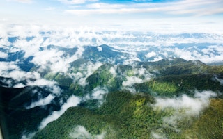 papua aerial forests