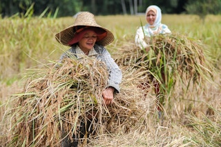 women farmers sabah