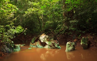 jungle stream borneo