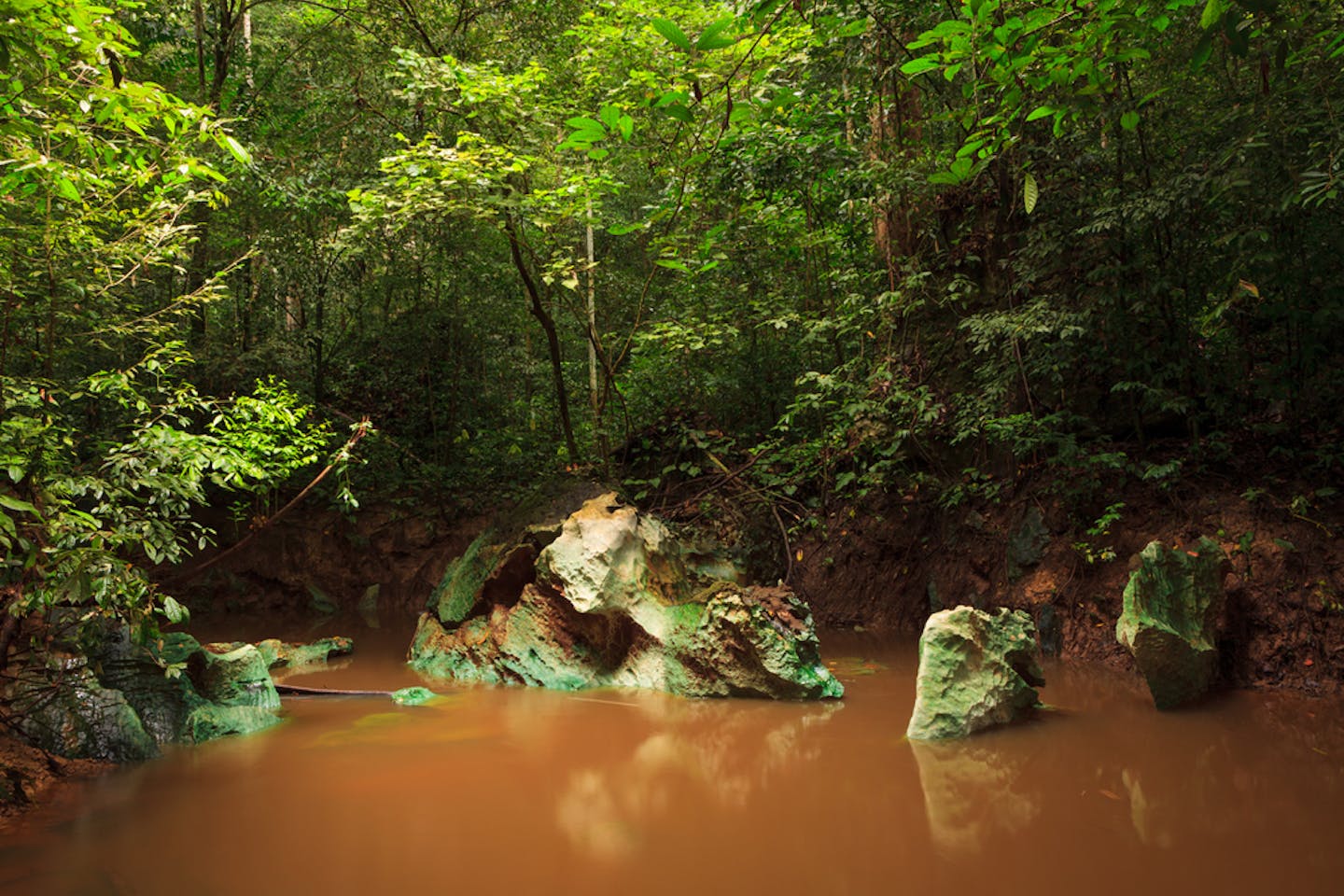 jungle stream borneo