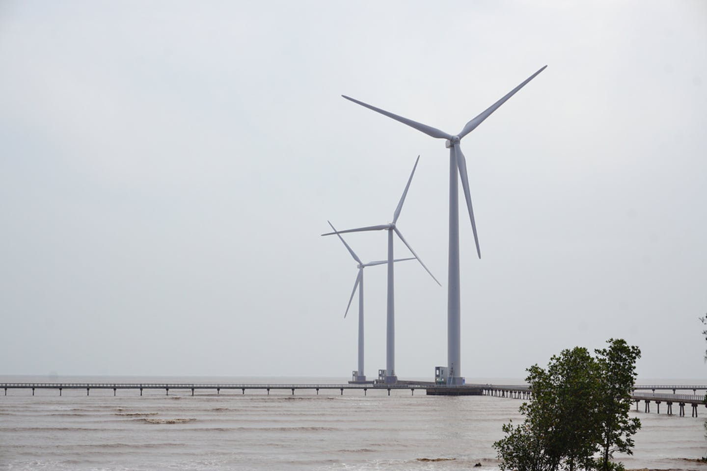 vietnam windmills