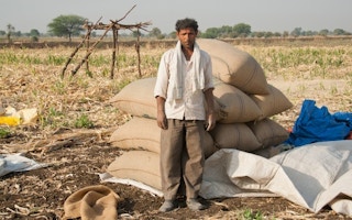 farmer soya india