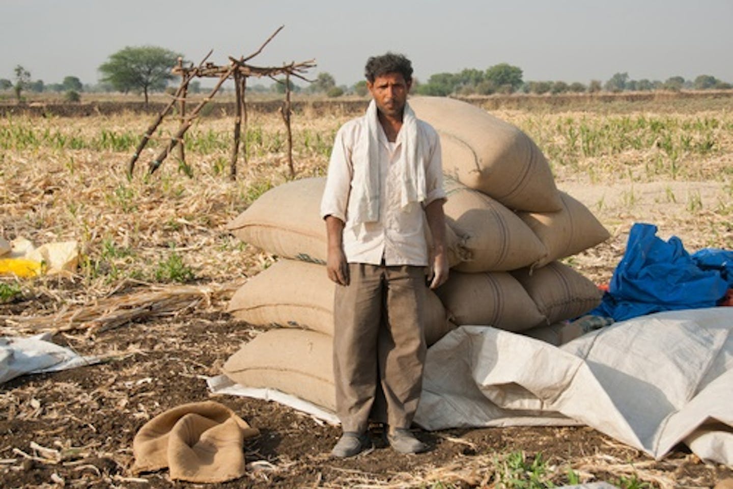 farmer soya india