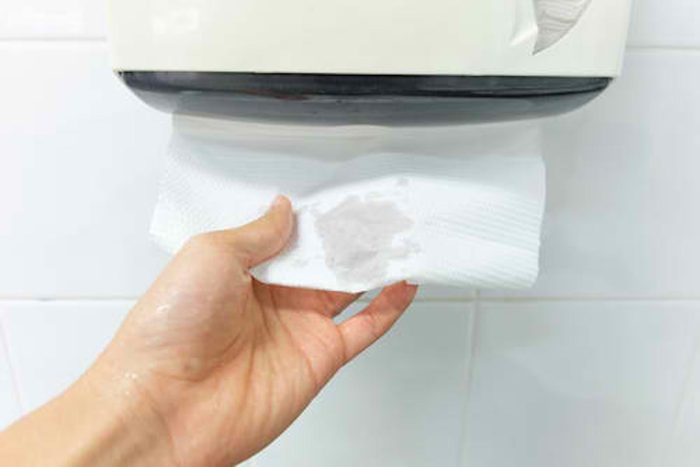 The great bathroom debate: paper towel or hand dryer? | Opinion |  Eco-Business | Asia Pacific