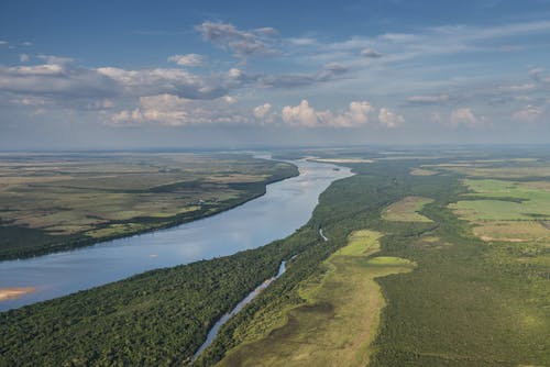 rainforest rio branco