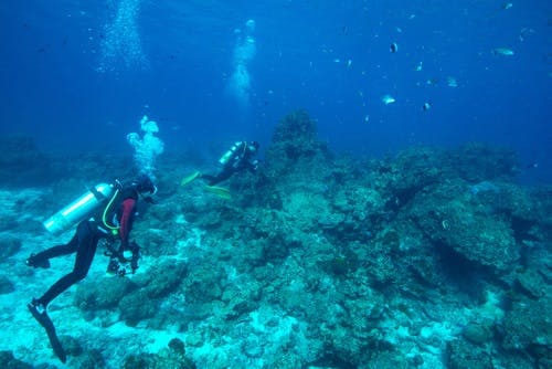 corals similan thailand
