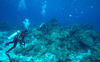 corals similan thailand