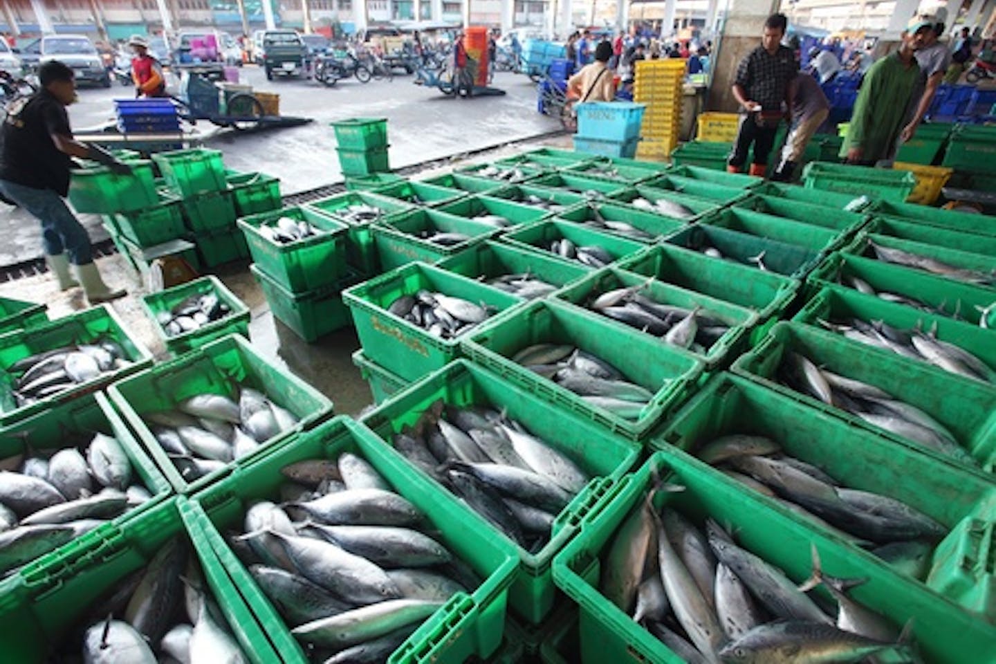 fishing port pattani