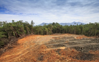 deforested mountains in borneo to give way to palm oil plantation