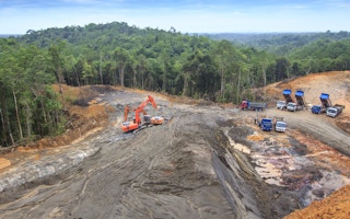 deforestation indonesia palm oil