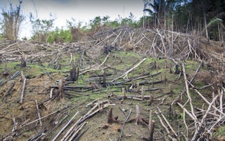 deforestation kuching malaysia