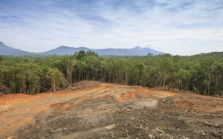 borneo deforestation 2