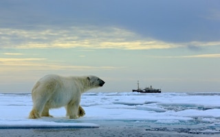 polar ice shipping routes