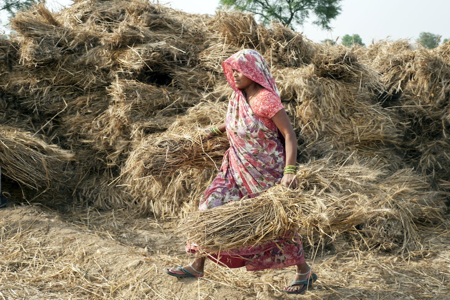 India faces trillion-dollar climate squeeze | News | Eco-Business ...