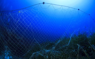 gill nets in corals
