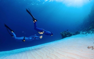 underwater shot bottom ocean