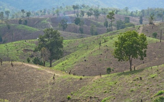 deforested tak province th