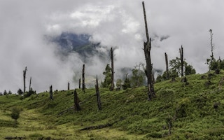deforestation arunachal