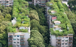 vegetation residential bldgs