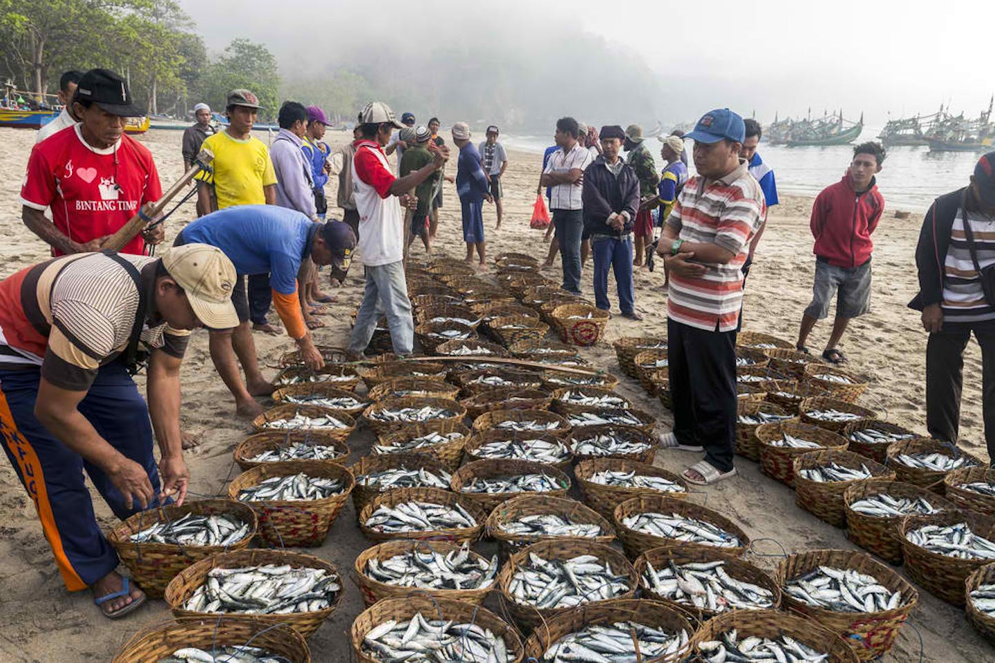 fishing shore java id