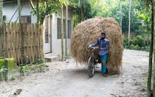 bangladesh farming