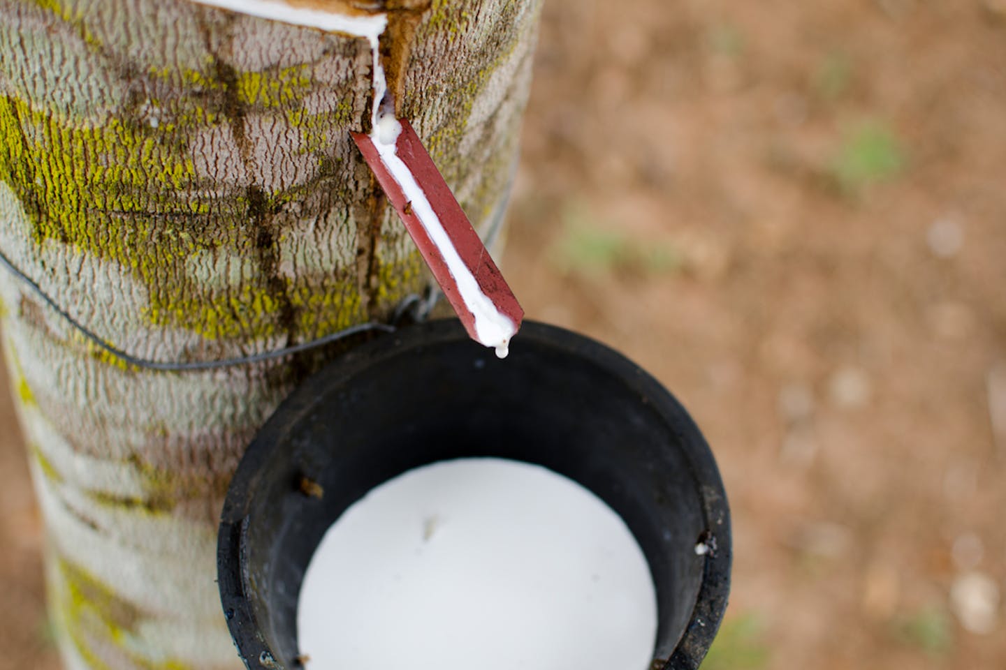 rubber resin collection