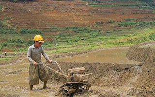 vietnam soil cultivator