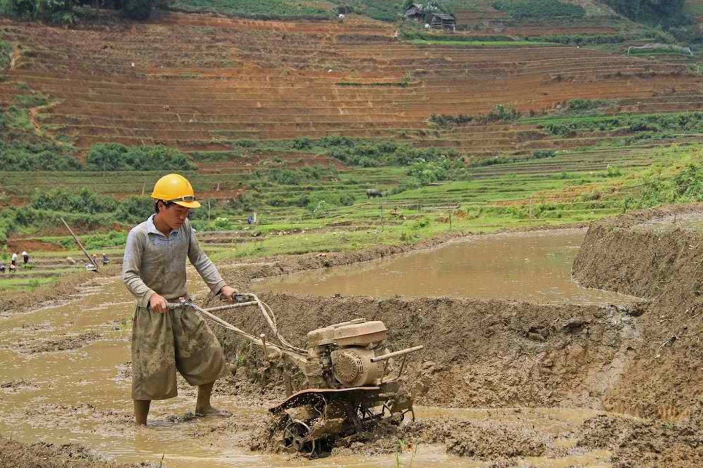 vietnam soil cultivator