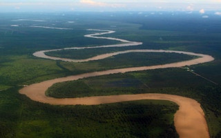 malayisa river forest gunung mulu