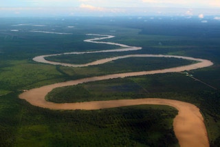 malayisa river forest gunung mulu