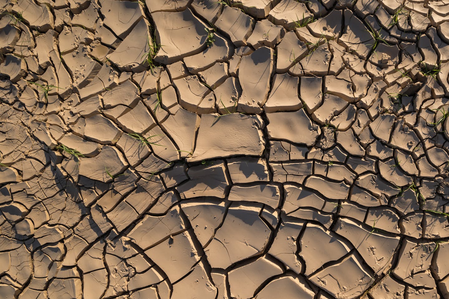 parched india