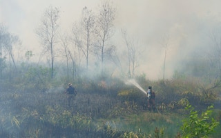 bush fires sabah march 2016