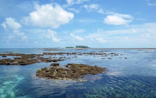 marshall islands corals