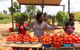 zimbabwe veg vendors