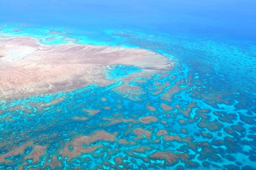 Great barrier reef australia