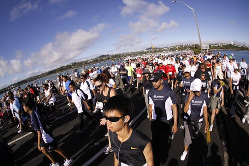 walking fun run nz