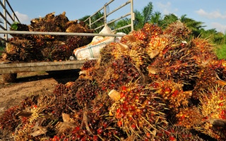 palm oil fruit bunch id