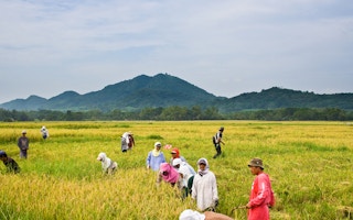 Farming community in the Philippines