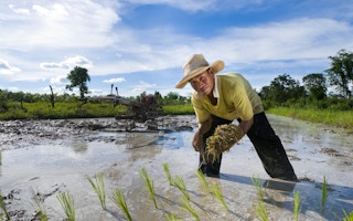 rice farmer in bali