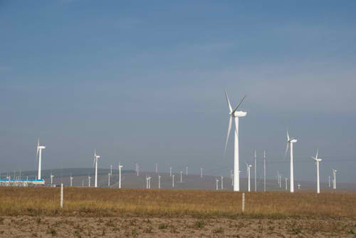 China's new wind power capacity hits record high News EcoBusiness